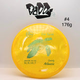 ****NEW Ocean Discs Swirly Atlantic Sea Turtle Midrange